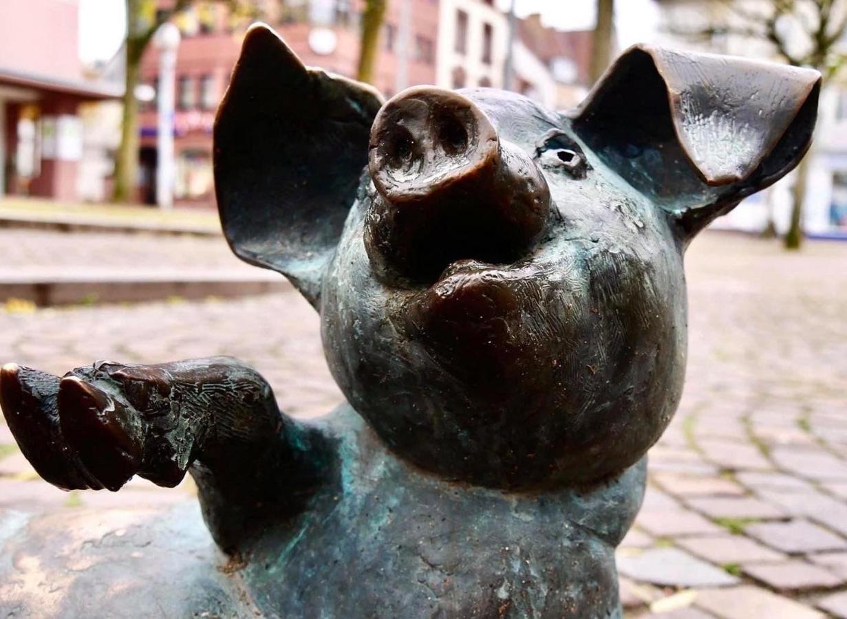 Das-Lagerhaus-Kleine-Oase Lägenhet Zweibrücken Exteriör bild