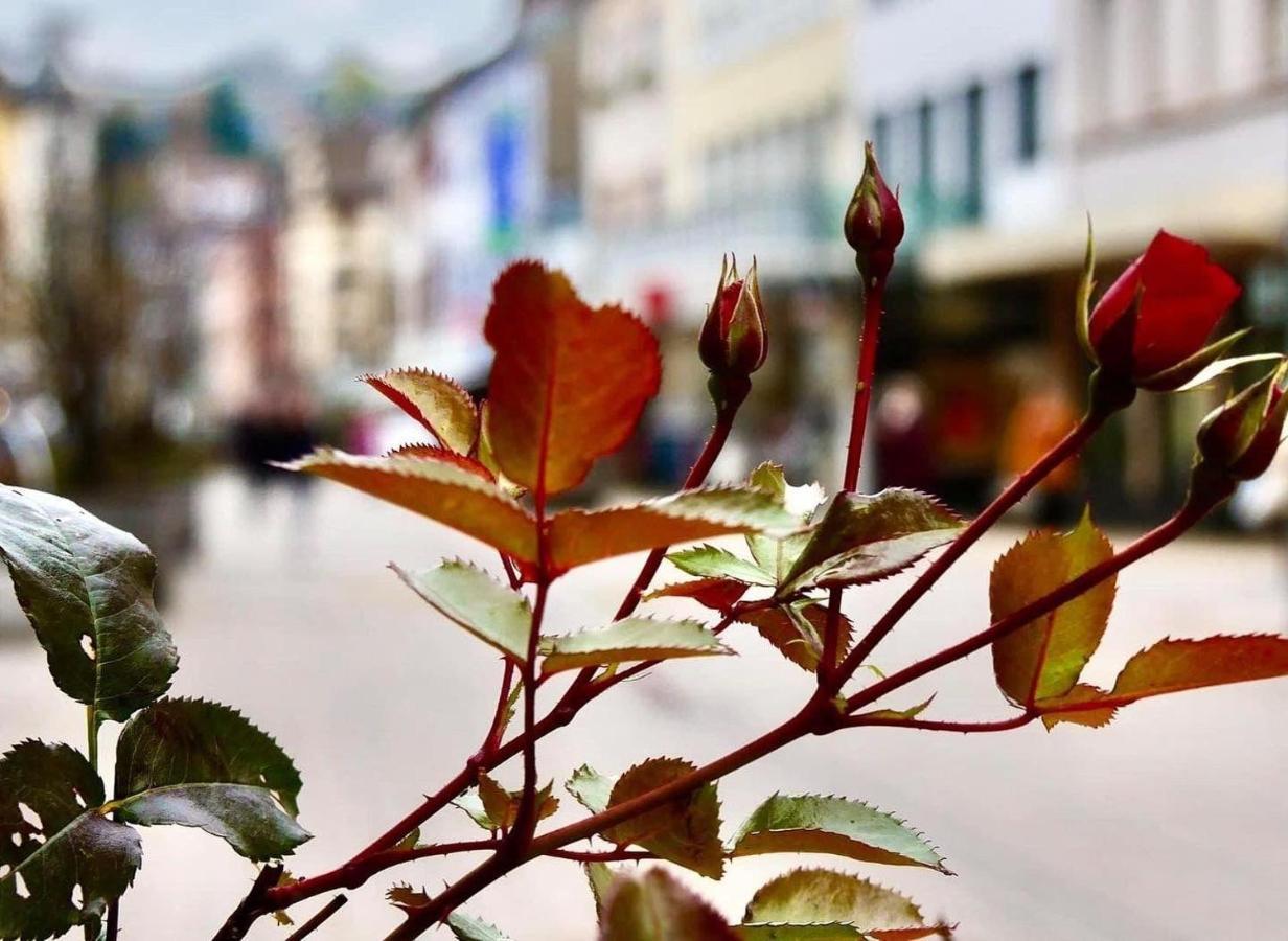 Das-Lagerhaus-Kleine-Oase Lägenhet Zweibrücken Exteriör bild